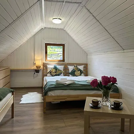 Wuja Toma * 슈차이르크