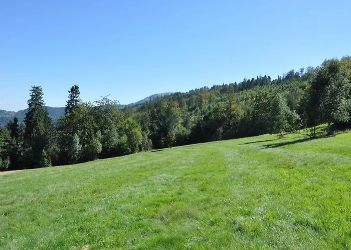 Wuja Toma * 什切尔克